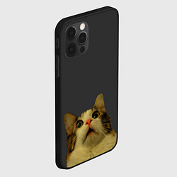 Чехол для iPhone 12 Pro Коте смотрит вверх, цвет: 3D-черный — фото 2