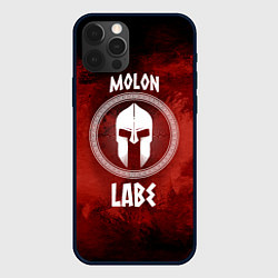 Чехол для iPhone 12 Pro Molon Labe, цвет: 3D-черный