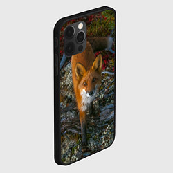 Чехол для iPhone 12 Pro Лиса, цвет: 3D-черный — фото 2