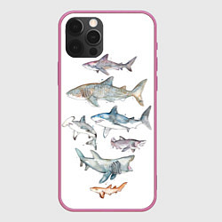Чехол iPhone 12 Pro Акулы