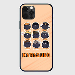 Чехол для iPhone 12 Pro Вороны школы Карасуно Haikyu!!, цвет: 3D-черный