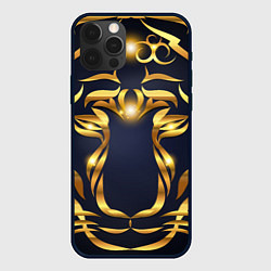 Чехол для iPhone 12 Pro Золотой символ года Тигр, цвет: 3D-черный