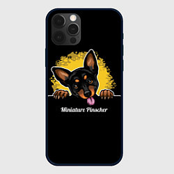 Чехол для iPhone 12 Pro Пинчер Miniature Pinscher, цвет: 3D-черный