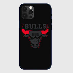 Чехол для iPhone 12 Pro CHICAGO BULLS ЧИКАГО БУЛЛС ЯРОСТЬ БЫКА, цвет: 3D-черный