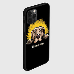Чехол для iPhone 12 Pro Веймаранер Weimaraner, цвет: 3D-черный — фото 2