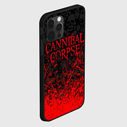 Чехол для iPhone 12 Pro CANNIBAL CORPSE, БРЫЗГИ КРАСОК ЧЕРЕПА, цвет: 3D-черный — фото 2