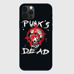 Чехол для iPhone 12 Pro Punks Not Dead Анархия, цвет: 3D-черный