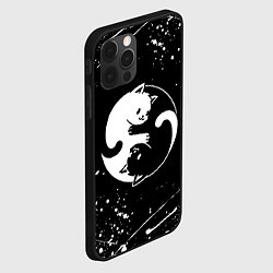 Чехол для iPhone 12 Pro ИНЬ ЯНЬ КОТИКИ БРЫЗГИ И НИЧЕГО ЛИШНЕГО, цвет: 3D-черный — фото 2