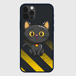 Чехол для iPhone 12 Pro Черный кот желтые полосы, цвет: 3D-черный