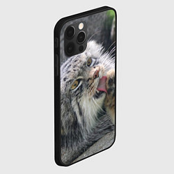 Чехол для iPhone 12 Pro Манул Лапка, цвет: 3D-черный — фото 2