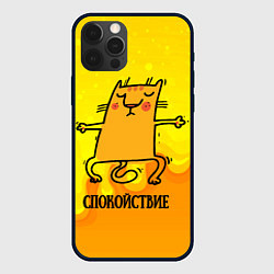 Чехол для iPhone 12 Pro Спокойствие Спокойный кот, цвет: 3D-черный