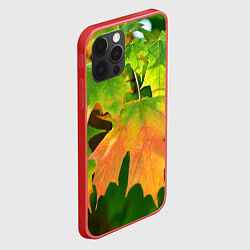 Чехол для iPhone 12 Pro Кленовый-лист, цвет: 3D-красный — фото 2