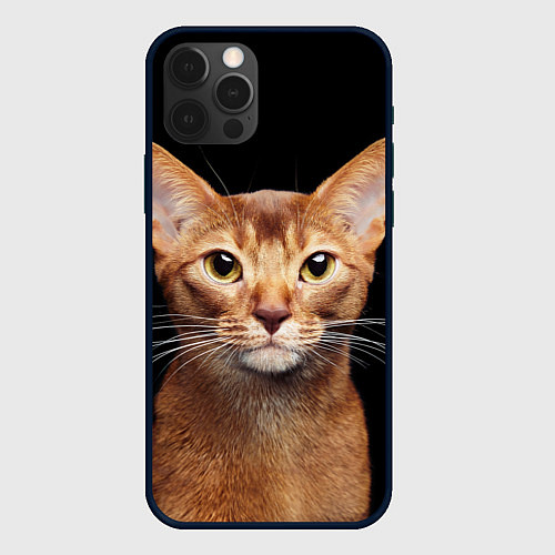 Чехол iPhone 12 Pro Молодая абиссинская кошечка / 3D-Черный – фото 1