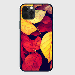 Чехол для iPhone 12 Pro Листва осенняя, цвет: 3D-черный