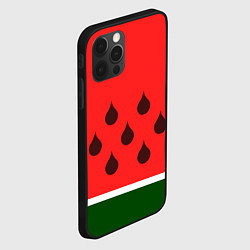 Чехол для iPhone 12 Pro Сочный летний арбуз, цвет: 3D-черный — фото 2
