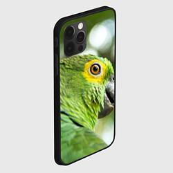 Чехол для iPhone 12 Pro Попугaй, цвет: 3D-черный — фото 2