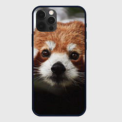 Чехол для iPhone 12 Pro Малая панда, цвет: 3D-черный