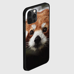 Чехол для iPhone 12 Pro Малая панда, цвет: 3D-черный — фото 2