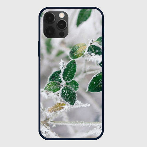 Чехол iPhone 12 Pro Green winter / 3D-Черный – фото 1
