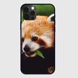 Чехол для iPhone 12 Pro Красная милая панда, цвет: 3D-черный