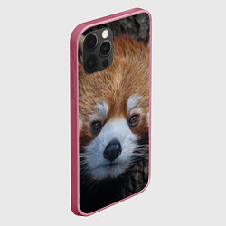 Чехол для iPhone 12 Pro Крaсная панда, цвет: 3D-малиновый — фото 2