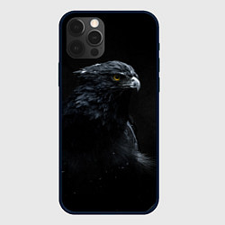 Чехол для iPhone 12 Pro Тёмный орёл, цвет: 3D-черный