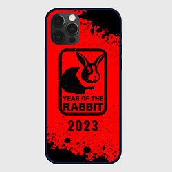 Чехол для iPhone 12 Pro 2023 Кролик в рамочке, цвет: 3D-черный