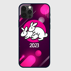 Чехол для iPhone 12 Pro Кролики 2023, цвет: 3D-черный