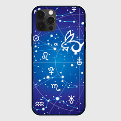 Чехол для iPhone 12 Pro Кролик символ 2023 на карте звездного неба, цвет: 3D-черный