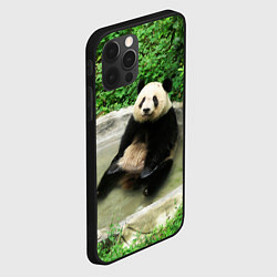 Чехол для iPhone 12 Pro Панда отдыхает в ванной, цвет: 3D-черный — фото 2