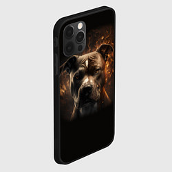 Чехол для iPhone 12 Pro Стафф - огонь, цвет: 3D-черный — фото 2