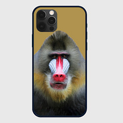 Чехол для iPhone 12 Pro Мандрил обезьяна, цвет: 3D-черный