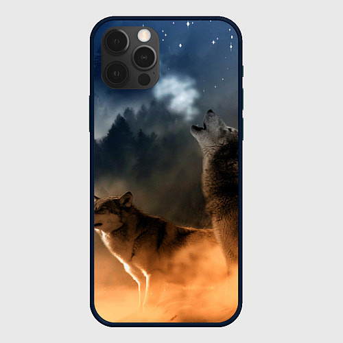 Чехол iPhone 12 Pro Волки на севере / 3D-Черный – фото 1