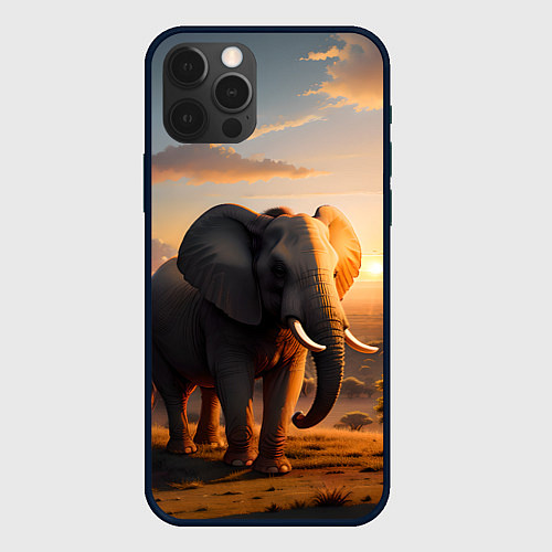 Чехол iPhone 12 Pro Африканский слон в саванне / 3D-Черный – фото 1