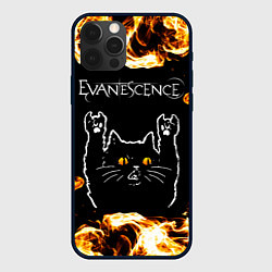 Чехол для iPhone 12 Pro Evanescence рок кот и огонь, цвет: 3D-черный