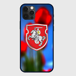 Чехол для iPhone 12 Pro Belarus summer, цвет: 3D-черный