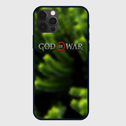 Чехол для iPhone 12 Pro God of war scandinavia, цвет: 3D-черный