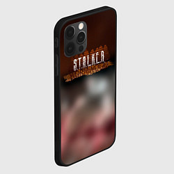 Чехол для iPhone 12 Pro Stalker припять зона, цвет: 3D-черный — фото 2