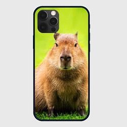 Чехол для iPhone 12 Pro Capybara on green grass, цвет: 3D-черный
