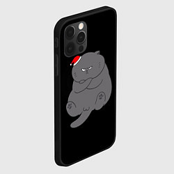 Чехол для iPhone 12 Pro Толстый новогодний кот, цвет: 3D-черный — фото 2