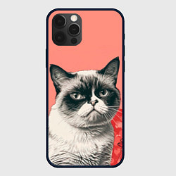 Чехол для iPhone 12 Pro Недовольный кот в день Святого Валентина, цвет: 3D-черный