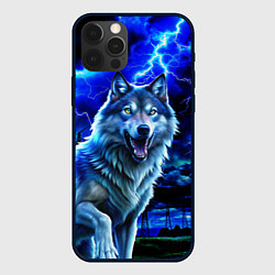 Чехол для iPhone 12 Pro Грозовой волк с молниями, цвет: 3D-черный