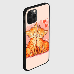 Чехол для iPhone 12 Pro Влюбленные рыжики котики 14 февраля, цвет: 3D-черный — фото 2