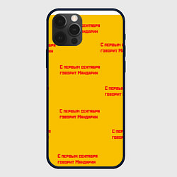 Чехол для iPhone 12 Pro С первым сентября говорит Мандарин, цвет: 3D-черный