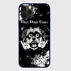 Чехол для iPhone 12 Pro Three Days Grace рок пес, цвет: 3D-черный