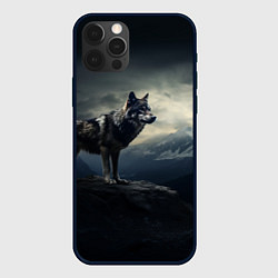 Чехол для iPhone 12 Pro Волк на горе, цвет: 3D-черный