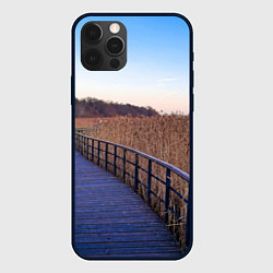 Чехол для iPhone 12 Pro Камышовые плавни на Финском заливе, цвет: 3D-черный