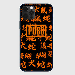 Чехол для iPhone 12 Pro PUBG japan steel, цвет: 3D-черный