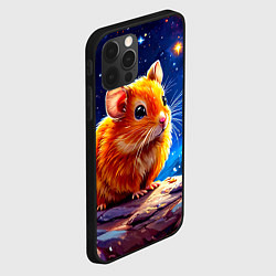 Чехол для iPhone 12 Pro Хомяк и космическое небо, цвет: 3D-черный — фото 2