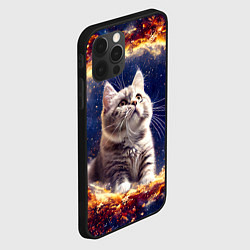 Чехол для iPhone 12 Pro Кошка шиншилла в космосе, цвет: 3D-черный — фото 2